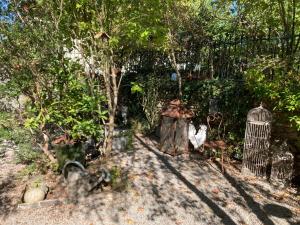 Appartements 16 Bis-Gite-Hotel-Appartement : photos des chambres