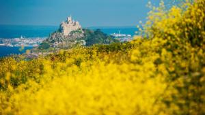 Little Trevara, Marazion
