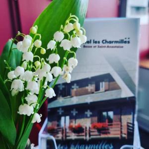 Hotels Hotel Les Charmilles : photos des chambres