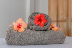 The Cove Holiday Apartment