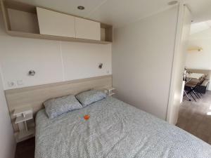 Casitas Mobil Home