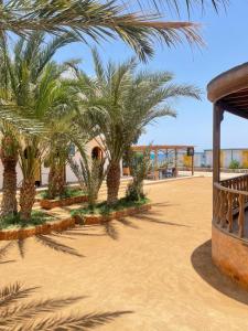 Shams Hotel & Dive Centre