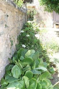 Maisons de vacances Gite Fleurs de Gamay au coeur du Beaujolais : photos des chambres