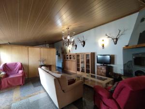 Descanso, aire sano y buenos asados