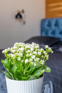 Trendy Top-Floor Stay in Heart of Riga, Near Bars & Culture