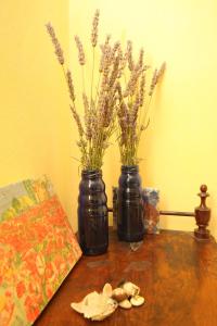 Secluded fishermans cottage Lavdara, Dugi otok - 8175