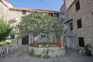 Apartments by the sea Cavtat, Dubrovnik - 2116