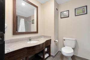 Queen Suite with Two Queen Beds - Non-Smoking room in Comfort Suites University Abilene