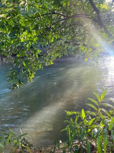 สวนลุงวรRanongGlamping