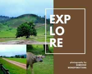 W House Ranong 1 Bedroom villa 810