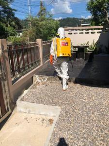 W House Ranong 2Bedroom villa 810