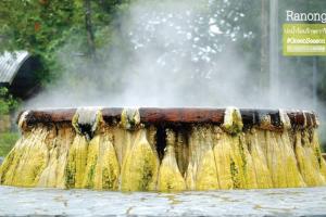 W House Ranong 2Bedroom villa 810