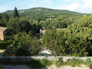 Maisons de vacances La Boissetane, maison provencale avec piscine et jardin, au pied du Luberon : photos des chambres