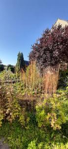 FeWo Rohleder de mit 130m2 und Garten für 6Pers mit 2 Bad