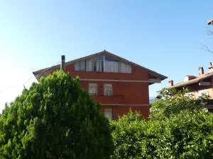 Amadeus Pinolo - Padule