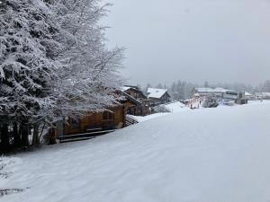 CHALET 6 PERSONNES SUR PISTE