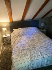 Chalets CHALET 6 PERSONNES SUR PISTE : photos des chambres