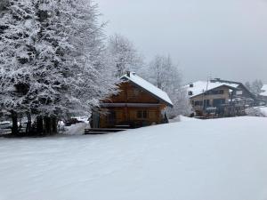 Chalets CHALET 6 PERSONNES SUR PISTE : photos des chambres