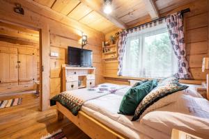 Góralska Izba w Zakopanem APARTZAKOP