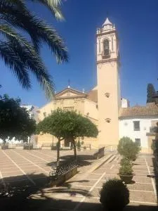 El rincón de Manolita. #2 - Bornos