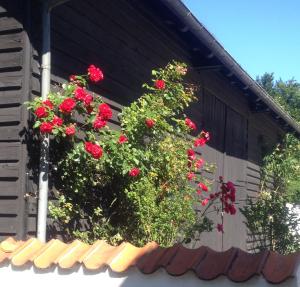 Skovridergaardens Ferielejligheder