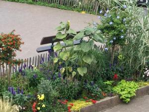 Appartements Residence du Parad'Ice : photos des chambres