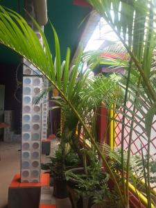 Kubu Pilatus – Family House Lombok