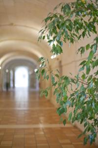 Hotels Les Chambres de l'Abbaye : Chambre Lits Jumeaux