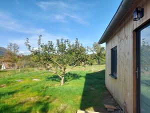 Chalets Gite du Petit Pommier : photos des chambres