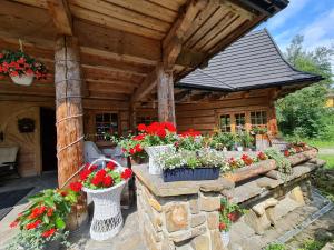 GliczarowSki u Zbója