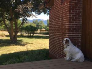 Swan Mountain View-Private Basement Suite10 acres