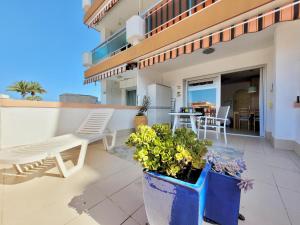 Agave Teide View by TOR