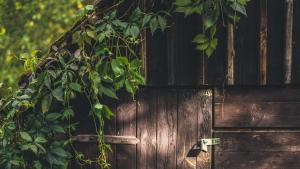 Apartamenty EverySky Janice