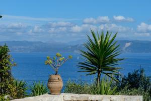 Apeiron Villas by PaxosRetreats