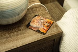 Gorgeous apartment in the heart of New Town