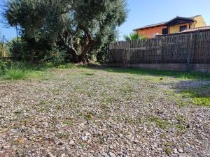 Il Fenicottero 2 img28