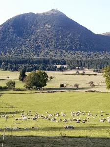 A 5 mns du Puy de Dôme avec Vue imprenable Studio rez de jardin 24m2 neuf à  Laschamps