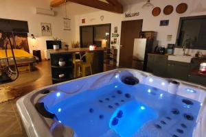 Maisons de vacances Maison detente avec Jacuzzi L'asseti : photos des chambres