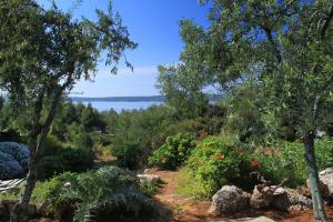 Apartments by the sea Zavala, Hvar - 8745