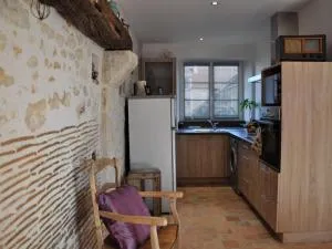 Charmante maison près des châteaux de la Loire avec jardin fermé et animaux bienvenus - FR-1-590-65 - Chaingy