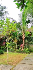 Tropica House 2 minutes from Ubud center