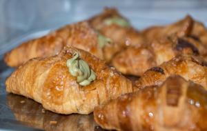 Central Gallery Rooms- Palazzo DAli Staiti XIX