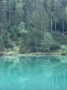 Ferienwohnung Panorama inkl. Chiemgaukarte