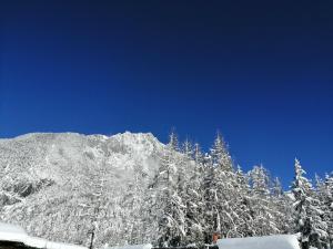 Appartements Nagl Nassereith