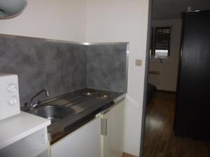 Hotels Studio/Hotel Porte De France : Studio (3 Adultes)