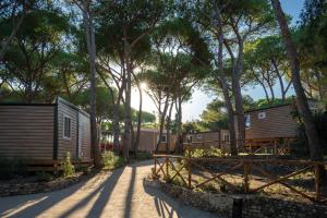 Camping Il Capannino Glamping Village