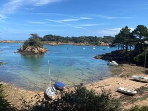 Maisons de vacances Vacances paradisiaques au coeur de l'Ile de Brehat : photos des chambres