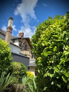 Maisons de vacances Maison cosy avec jardin en plein centre historique : photos des chambres