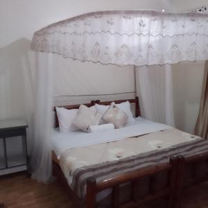 Dream jet suites