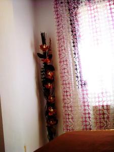 El Vinilo. Aparcamiento exterior gratuito